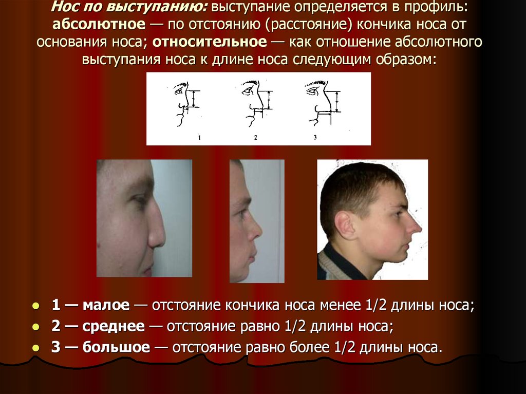 Абсолютный человек это. Выступание носа криминалистика. Переносица криминалистика. Длина носа криминалистика. Выступание носа в профиль.