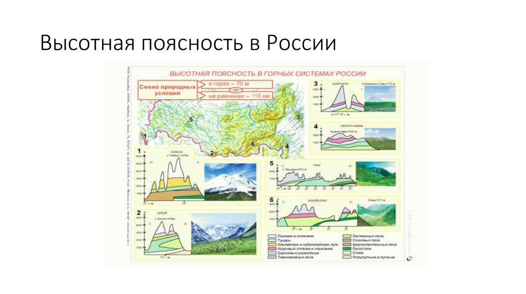 Природные зоны кавказских гор таблица