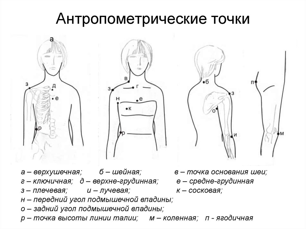 Точка измерения. Основные антропометрические точки тела человека в конструировании. Антропометрические точки на туловище. Антропометрические точки на верхней конечности. Антропометрические точки на нижней конечности.