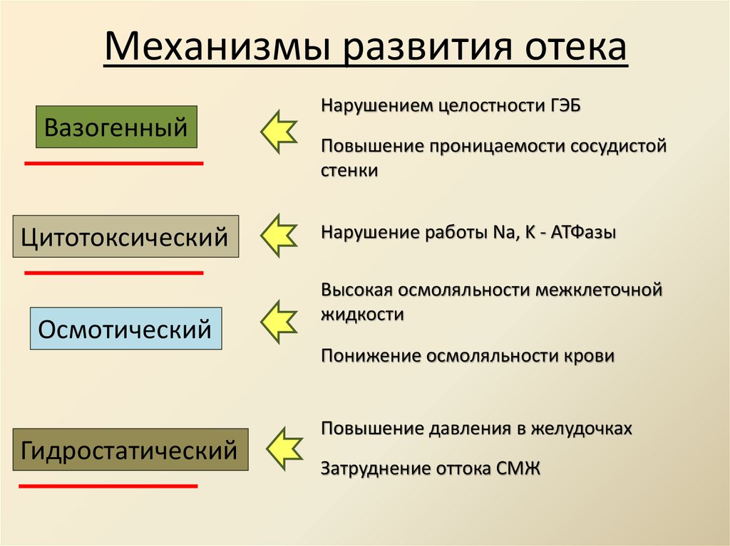 Виды отеков