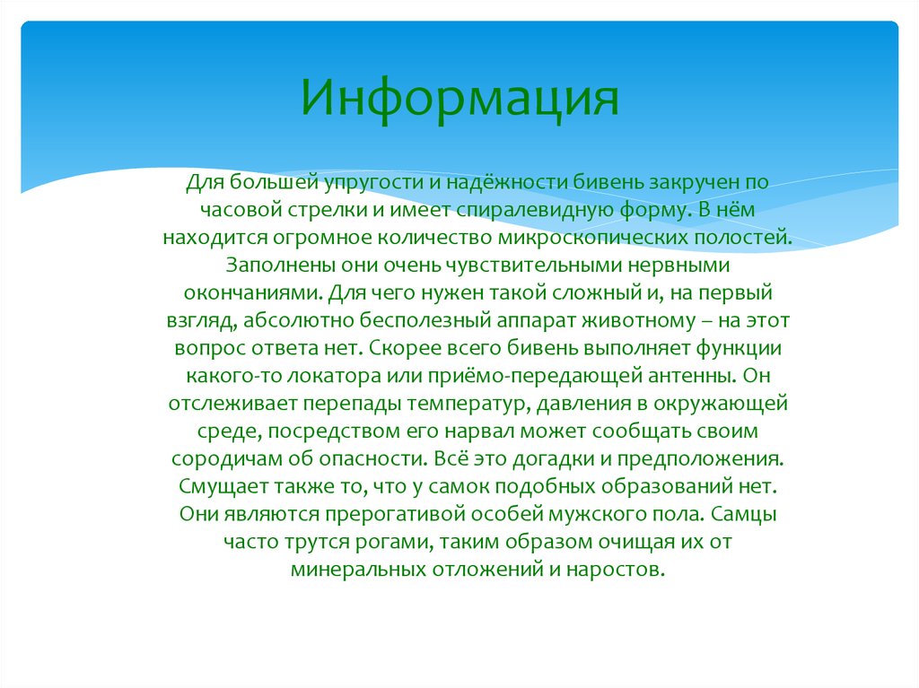 Информация