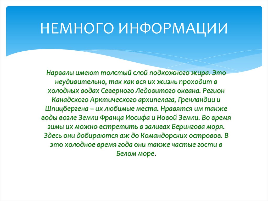 А сегодня будет контрольная. Немножко информации. Немного информации. Темы для презентации немецкий язык. Немного информации картинки.