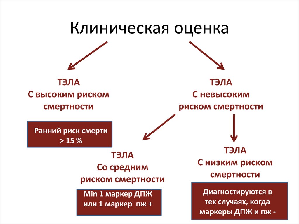 Клиническая оценка