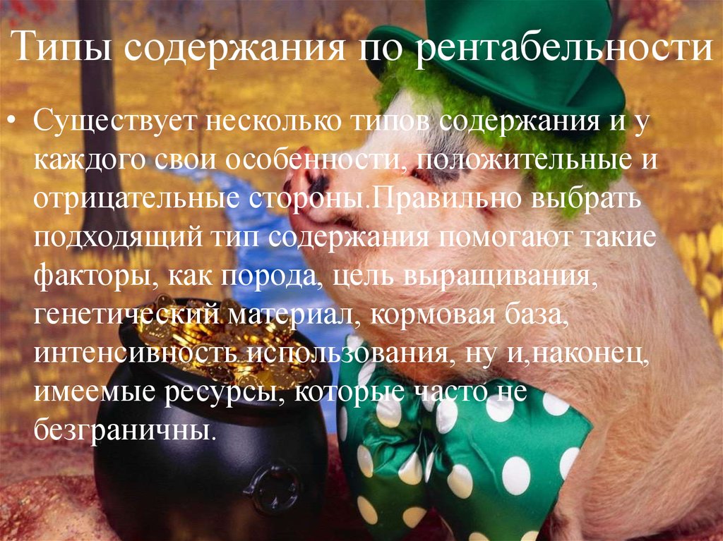 Типы содержания по рентабельности