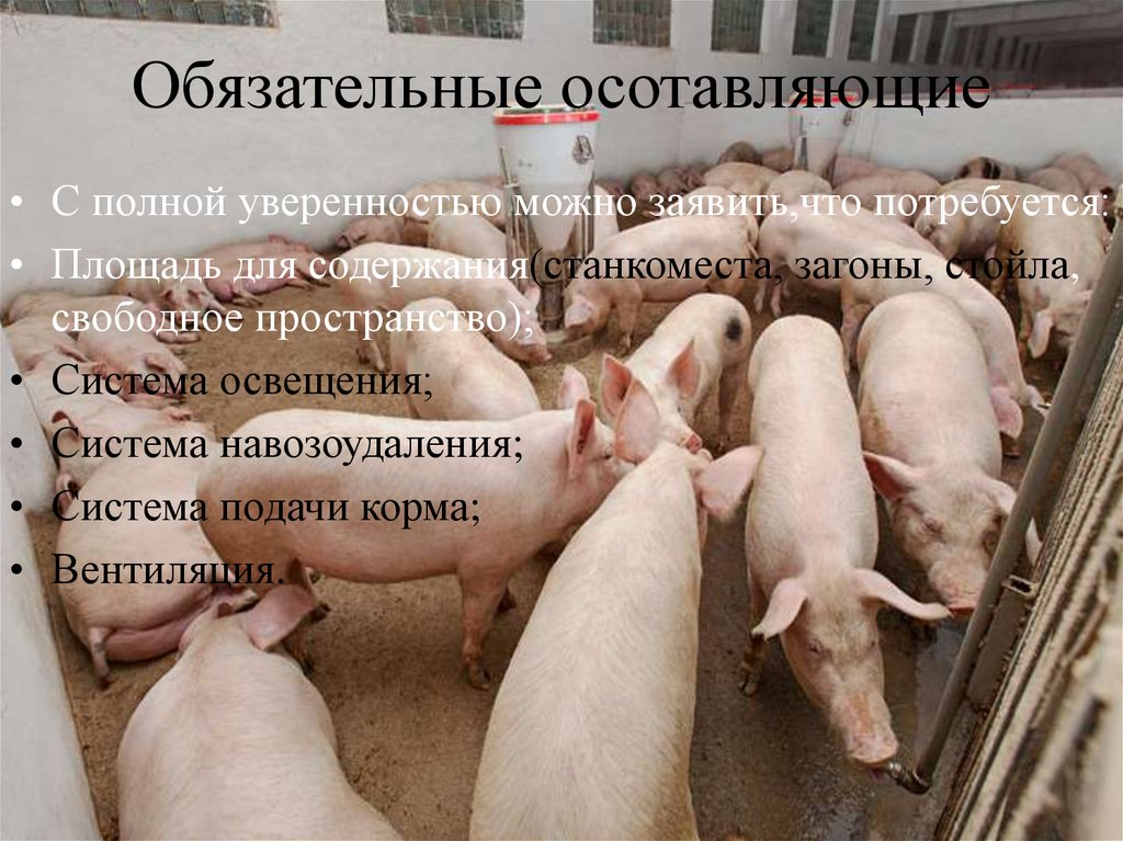 Обязательные осотавляющие