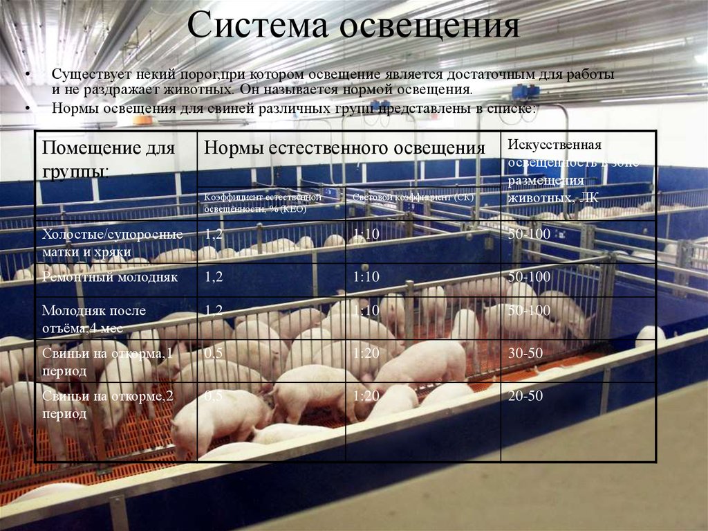 Система освещения