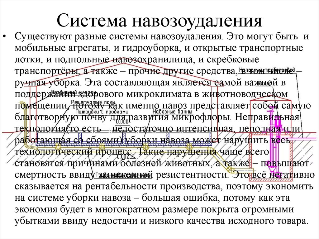 Система навозоудаления