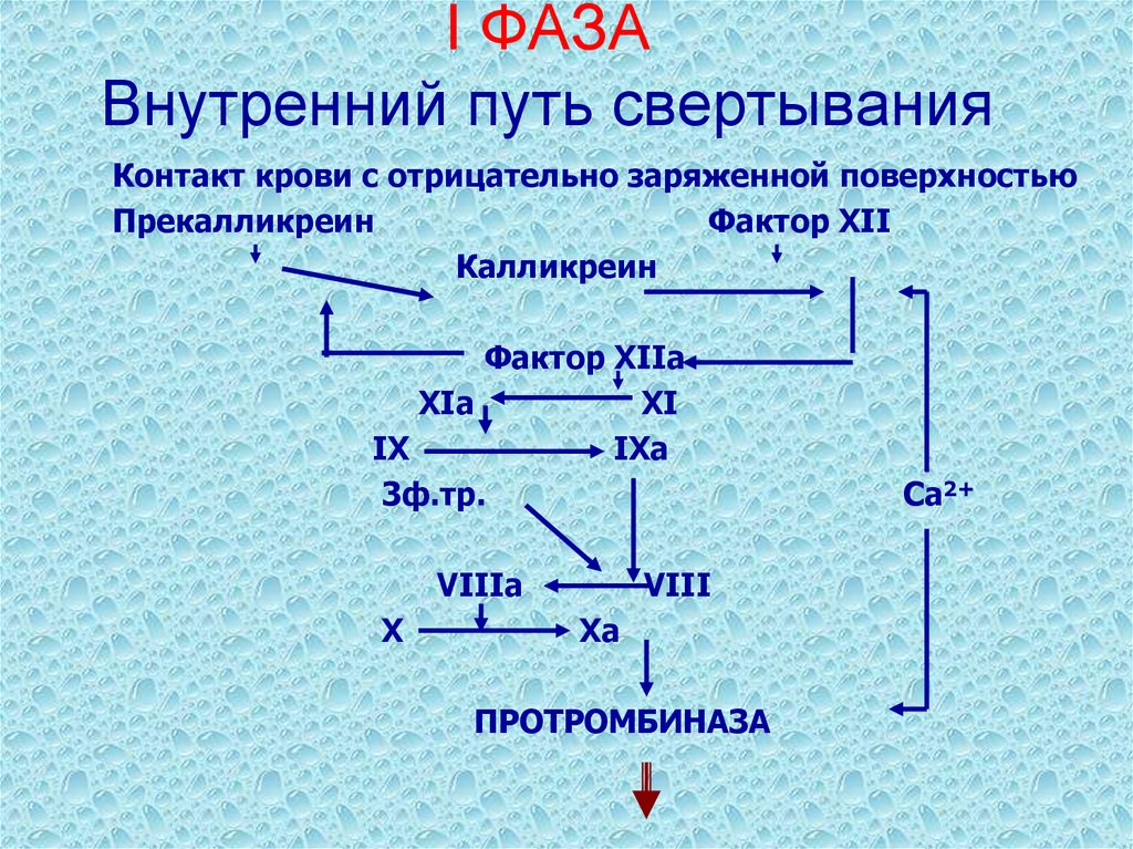 Механизм свертывания крови схема