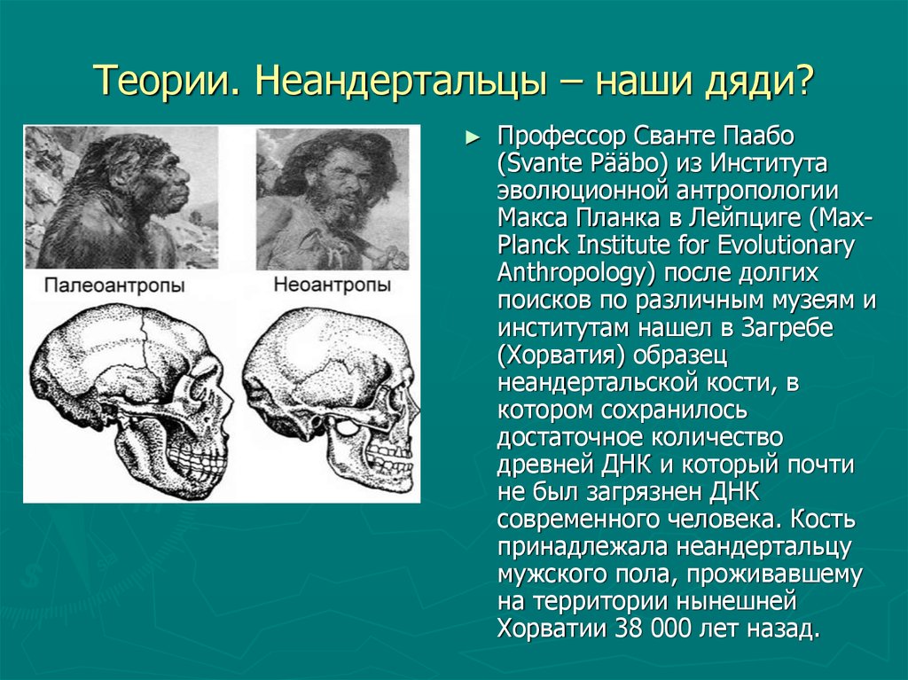 Неандертальцы презентация по биологии 11 класс