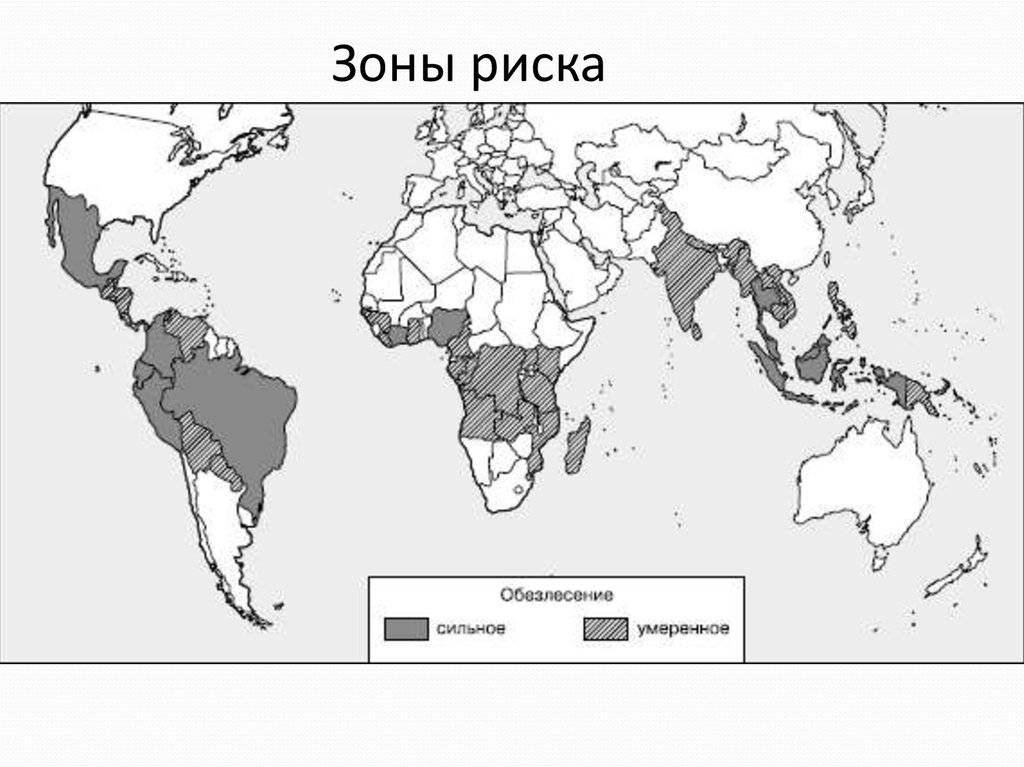 Карта вырубки лесов в мире