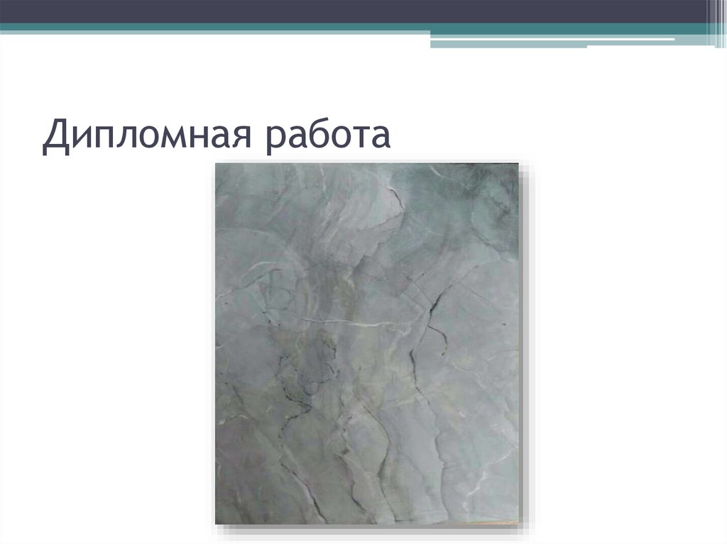 Дипломная работа