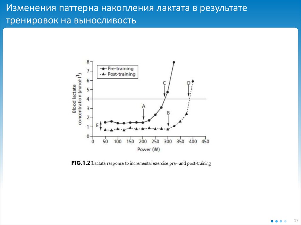 Пороговый уровень лактата. Паттерн накопления. Уровень лактата у спортсменов. Накопление лактата. Уровень лактата в крови спортсмены.