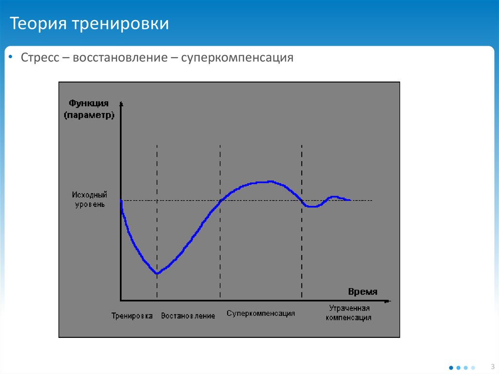 Теории упражнений. Суперкомпенсация. Принцип суперкомпенсации. Тренировка суперкомпенсация. Суперкомпенсация после тренировки.