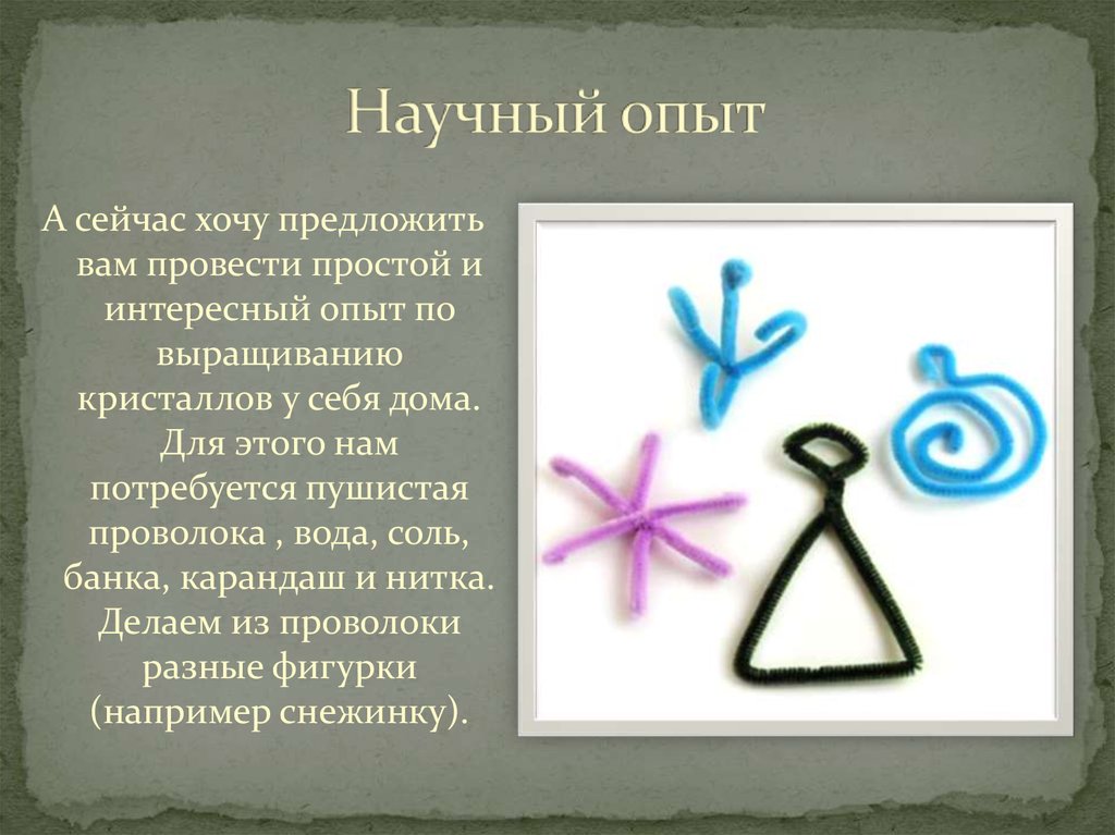 Научный опыт