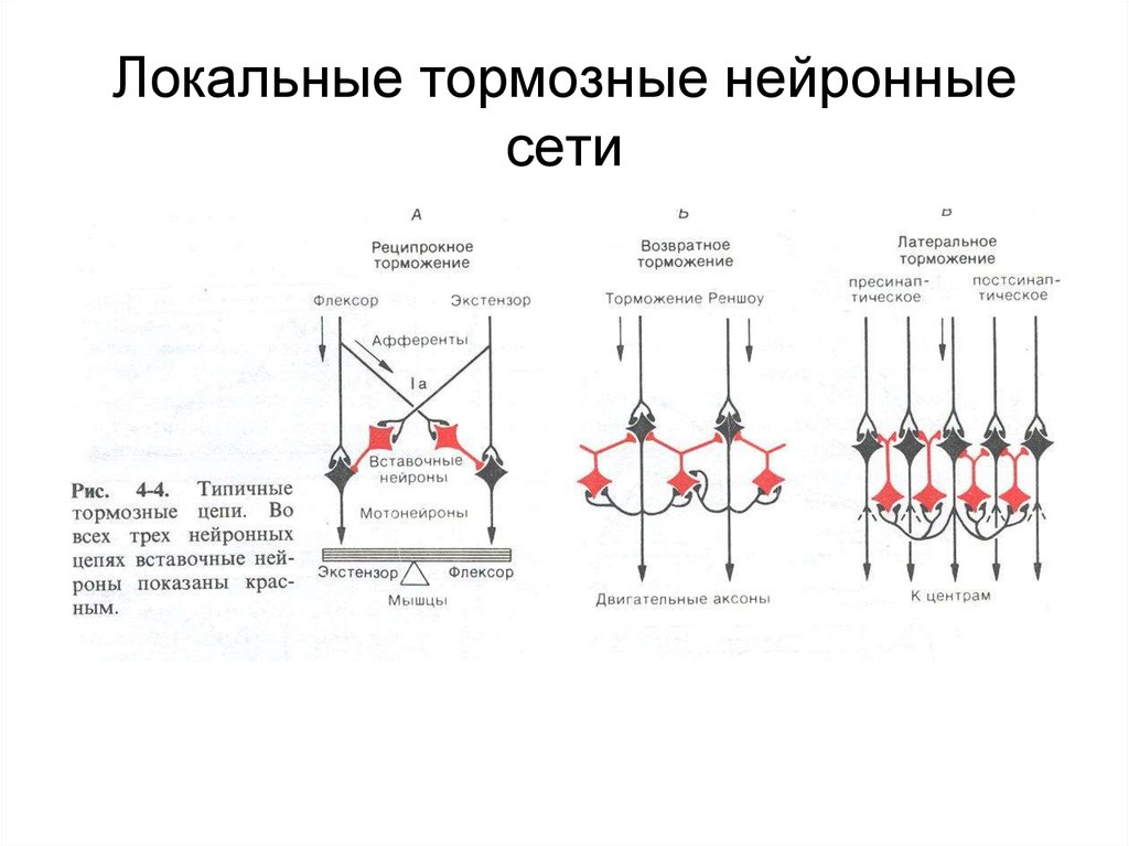 Нарисуйте схему развития запредельного торможения