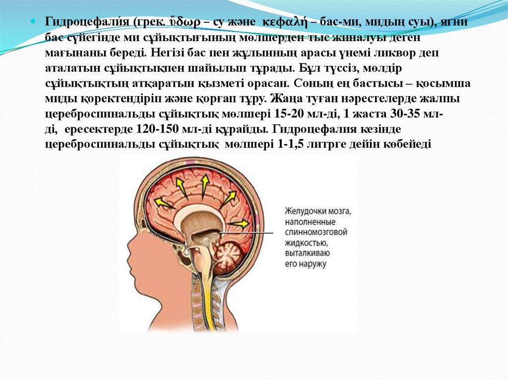 Диета при гидроцефалии мозга. Гидроцефалия желудочков головного мозга. Желудочки мозга при гидроцефалии. Гидроцефалия это причины возникновения.