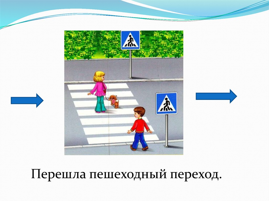 Форма пешехода. Как переходить пешеходный переход. Пешеходный переход со стрелками. Границы пешеходного перехода. Пешеходный переход картинка.