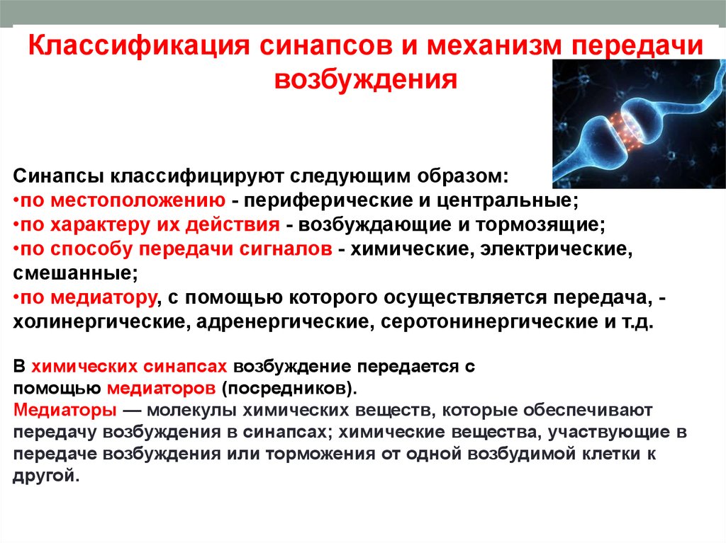 Возбуждение синапсов. Классификация синапсов. Классификация синапса по способу передачи возбуждения. Классификация синапсов по характеру действия. Классификация синапсов по эффектам.