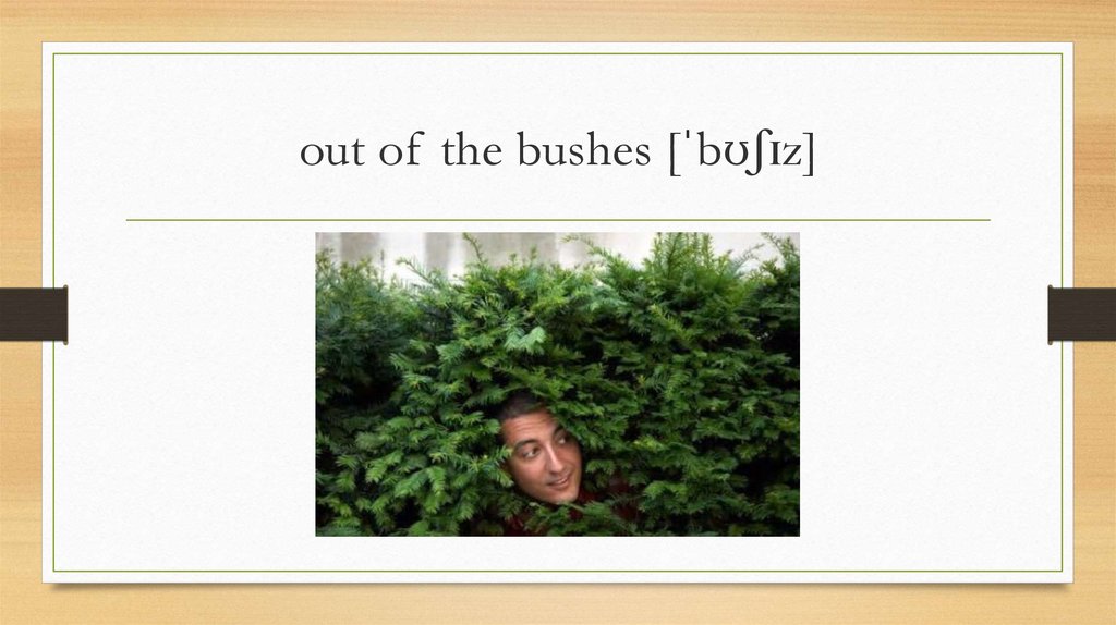 out of the bushes [ˈbʊʃɪz]