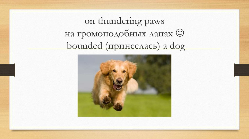 on thundering paws на громоподобных лапах  bounded (принеслась) a dog