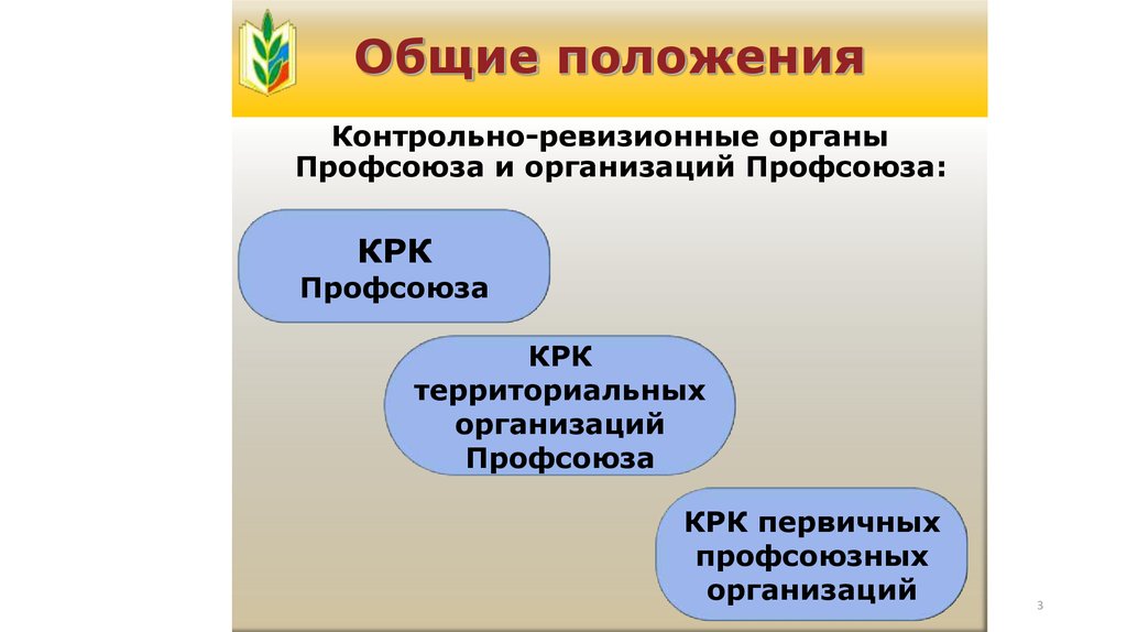 Положение контрольно. Контрольно ревизионная комиссия в профсоюзе. Работа контрольно ревизионной комиссии в профсоюзной организации. Контрольно-ревизионные органы. Контрольно-ревизионная комиссия профсоюзной организации избирается.