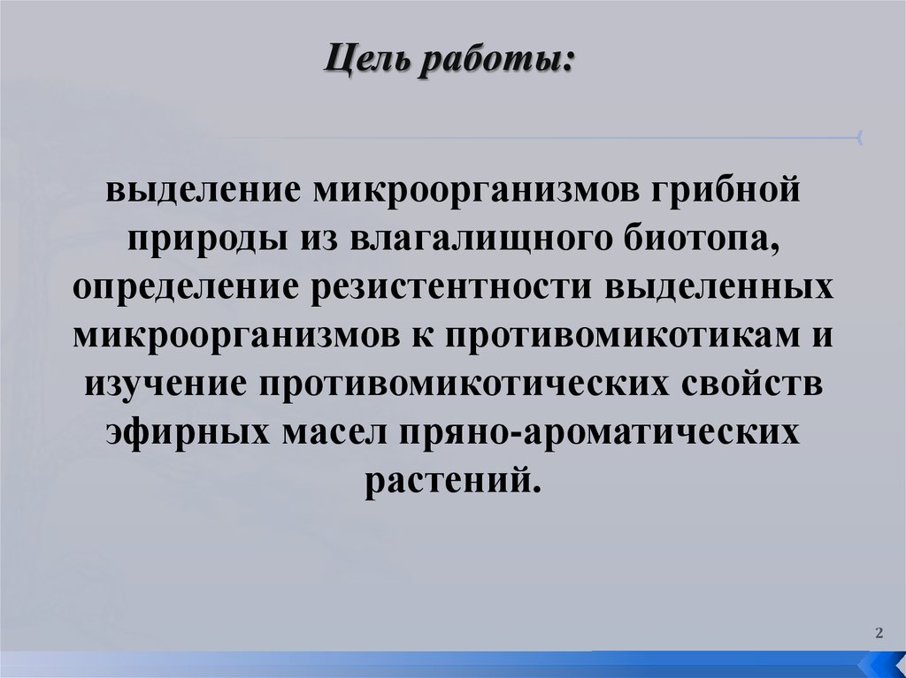 Цель работы:
