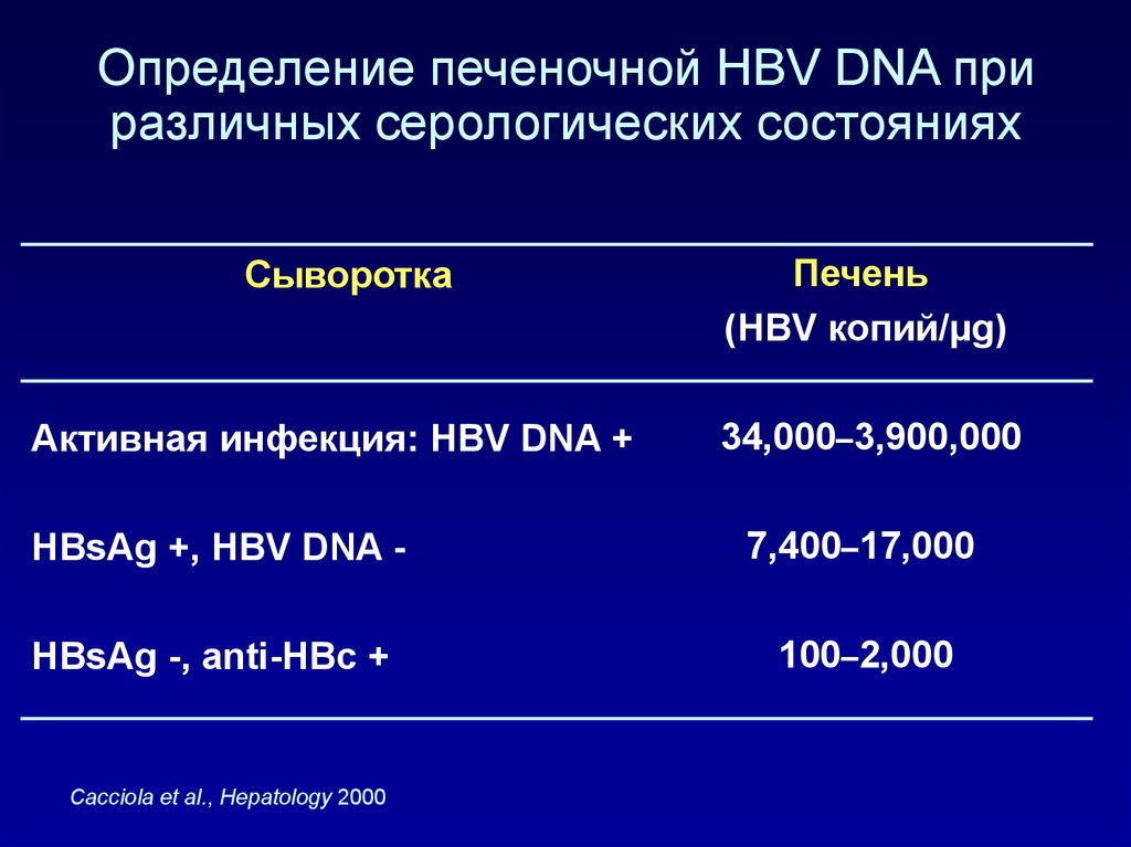 Норма днк