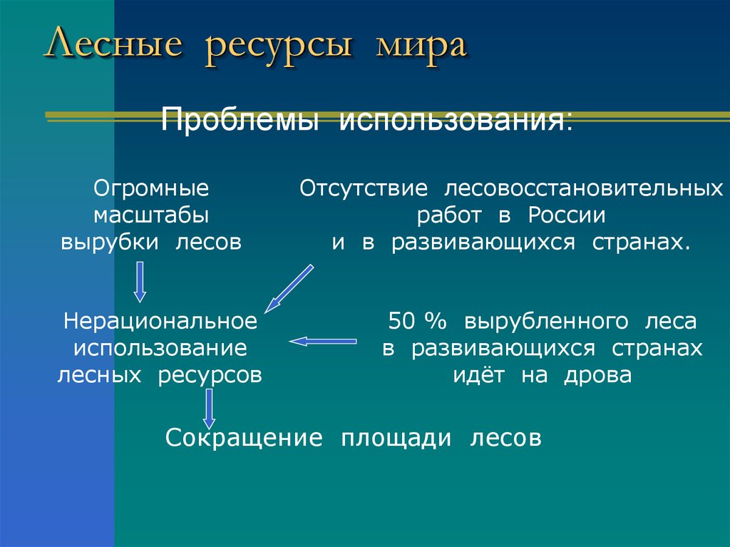 Презентация по географии на тему: Лесные ресурсы мира