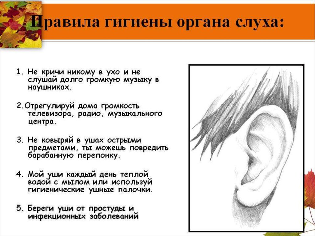 Правда ухо. Гигиена органы чувств ухо. Гигиена ушей памятка. Правила гигиены органов слуха. Памятка по гигиене ушей.