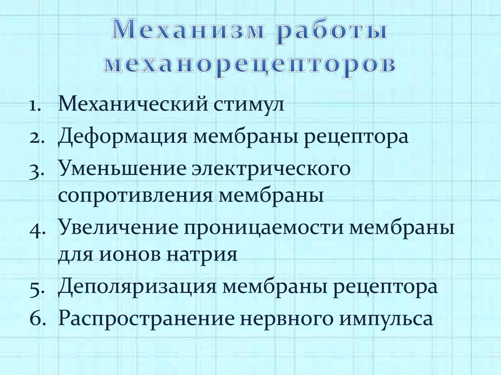 Механорецепторы желудка