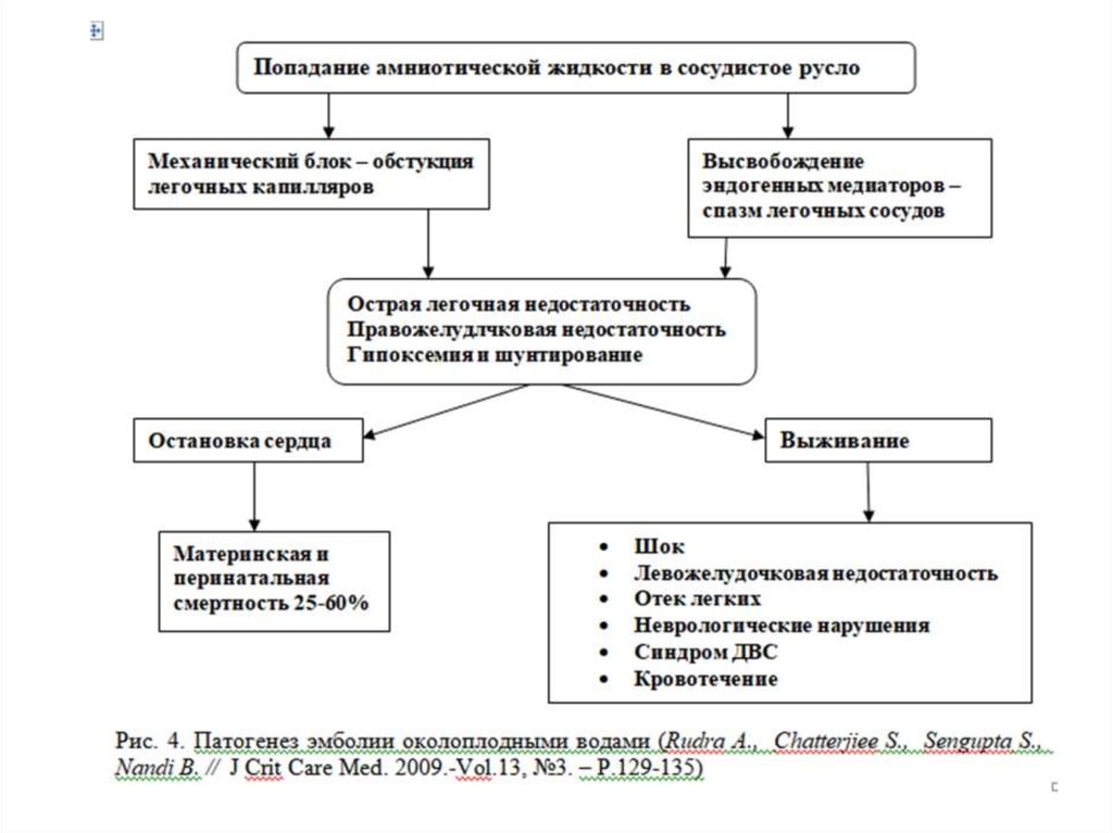 Эмболия околоплодными водами презентация