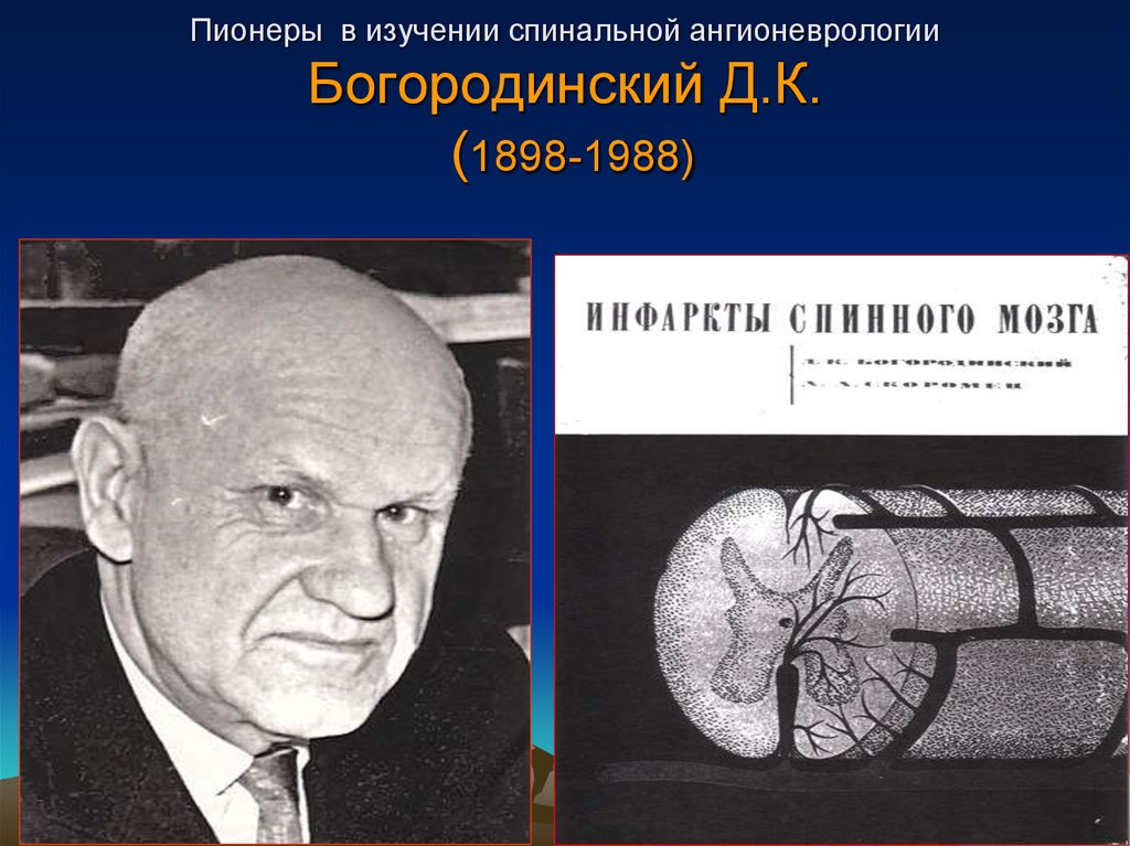 Пионеры в изучении спинальной ангионеврологии Богородинский Д.К. (1898-1988)