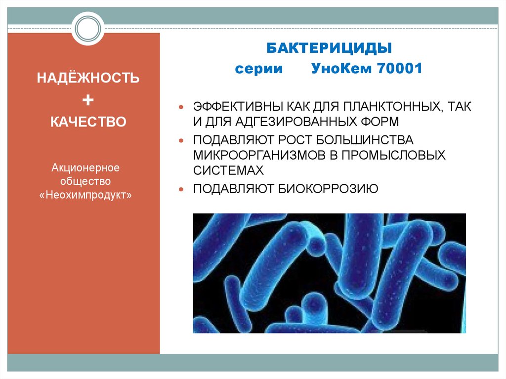 подавляющее большинство бактерий. бактерии питающиеся органическими веществами. возбудители бактериальных инфекций таблица. подавляющее большинство. безъядерные микроорганизмы.