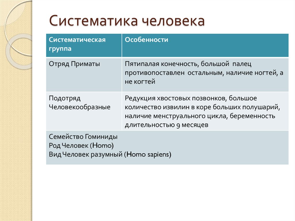 Эти признаки определяют принадлежность человека к. Систематика человека. Систематика современного человека. Систематическое положение человека признаки. Характеристика систематического положения человека.