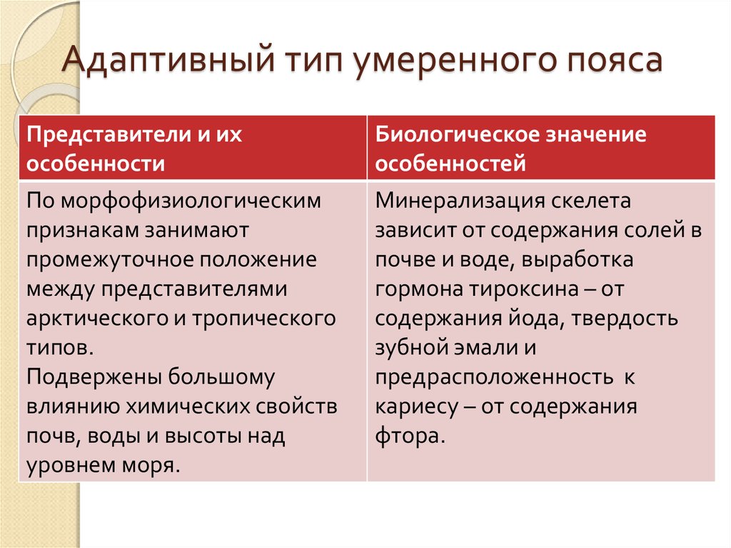 Признаки умеренной. Адаптивный Тип умеренного пояса. Адаптивные типы. Умеренный адаптивный Тип. Адаптивные типы человека.