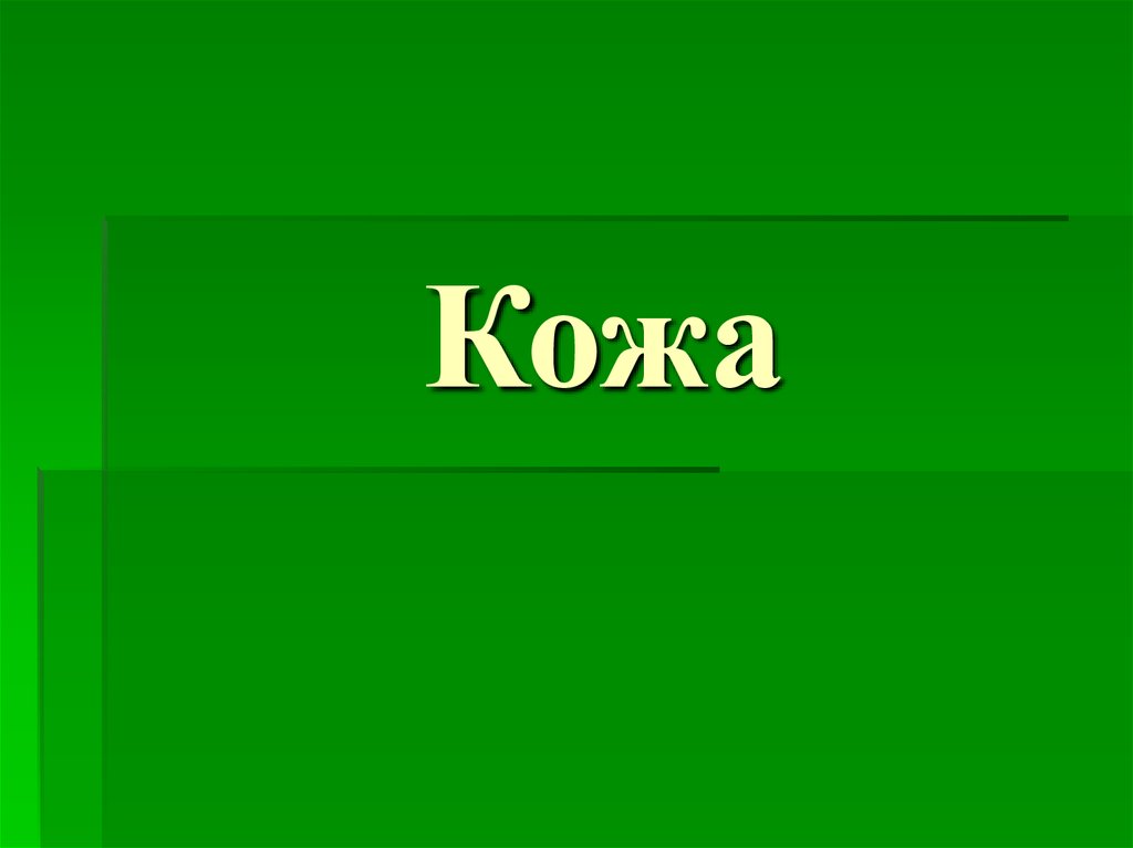 Слово коже. Слово кожа. Кожаный слово. Текст на коже. Слово кожа версия.