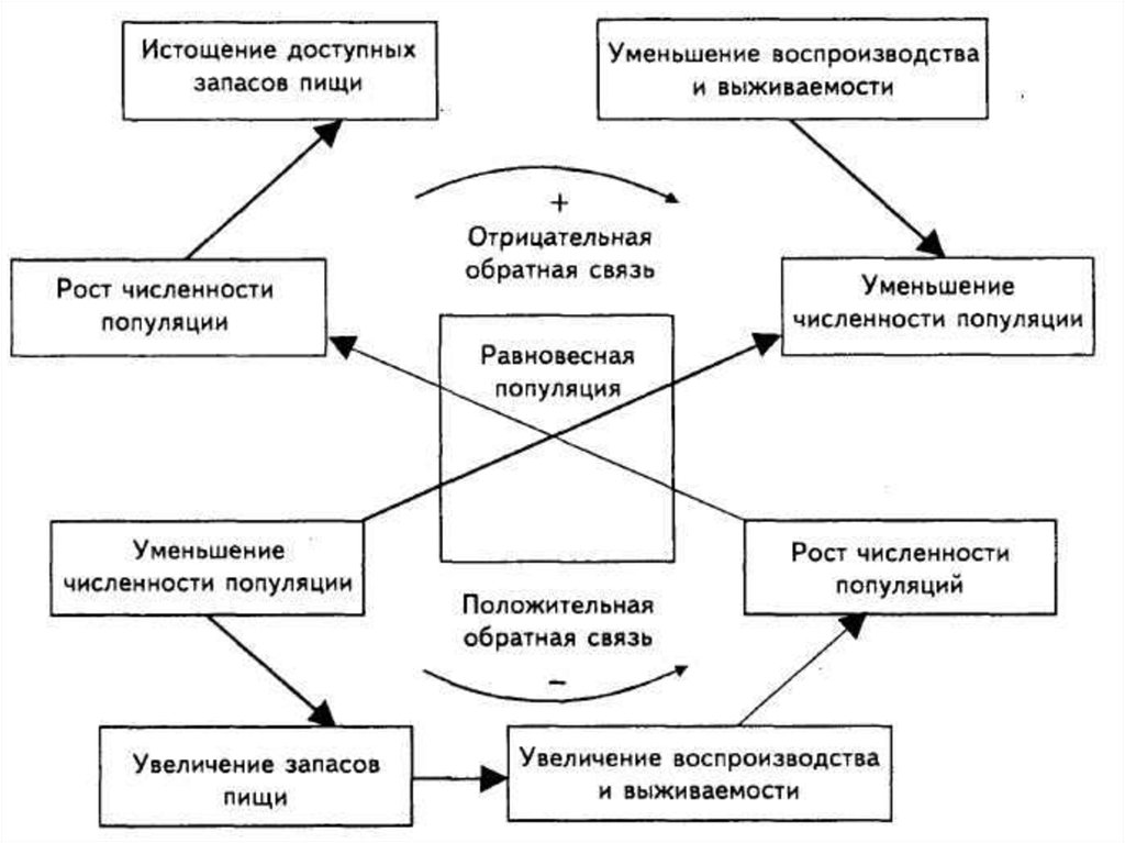 Схема свойства популяции