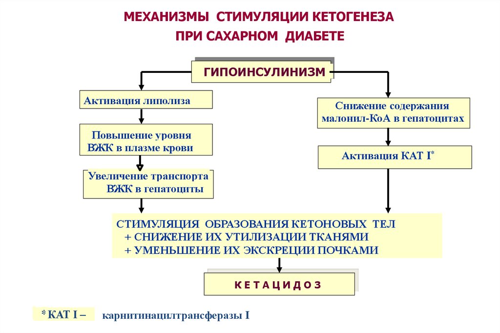 Обмен веществ и диабет