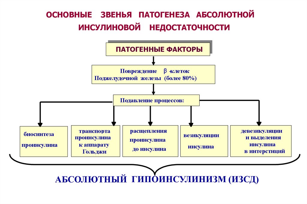 Звенья патогенеза. Главные звенья патогенеза. Патогенез абсолютной инсулиновой недостаточности. Панкреатическая инсулиновая недостаточность патофизиология.