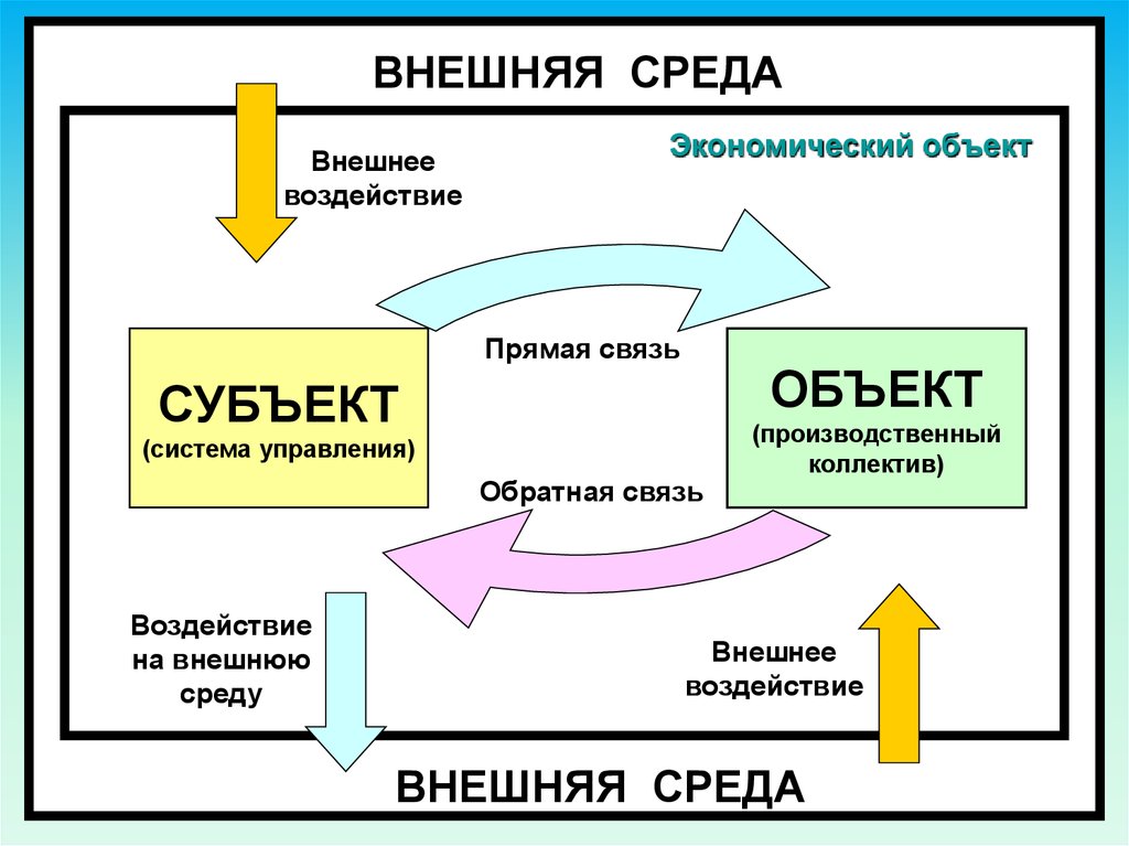 Прямая связь. Внешняя среда. Внешняя Обратная связь. Субъекты и объекты внешней среды. Воздействие субъекта на объект управления.