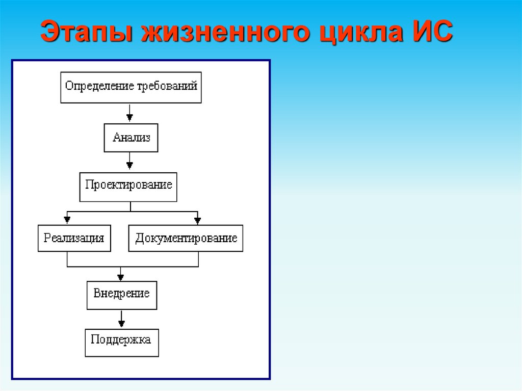 План жизненный цикл