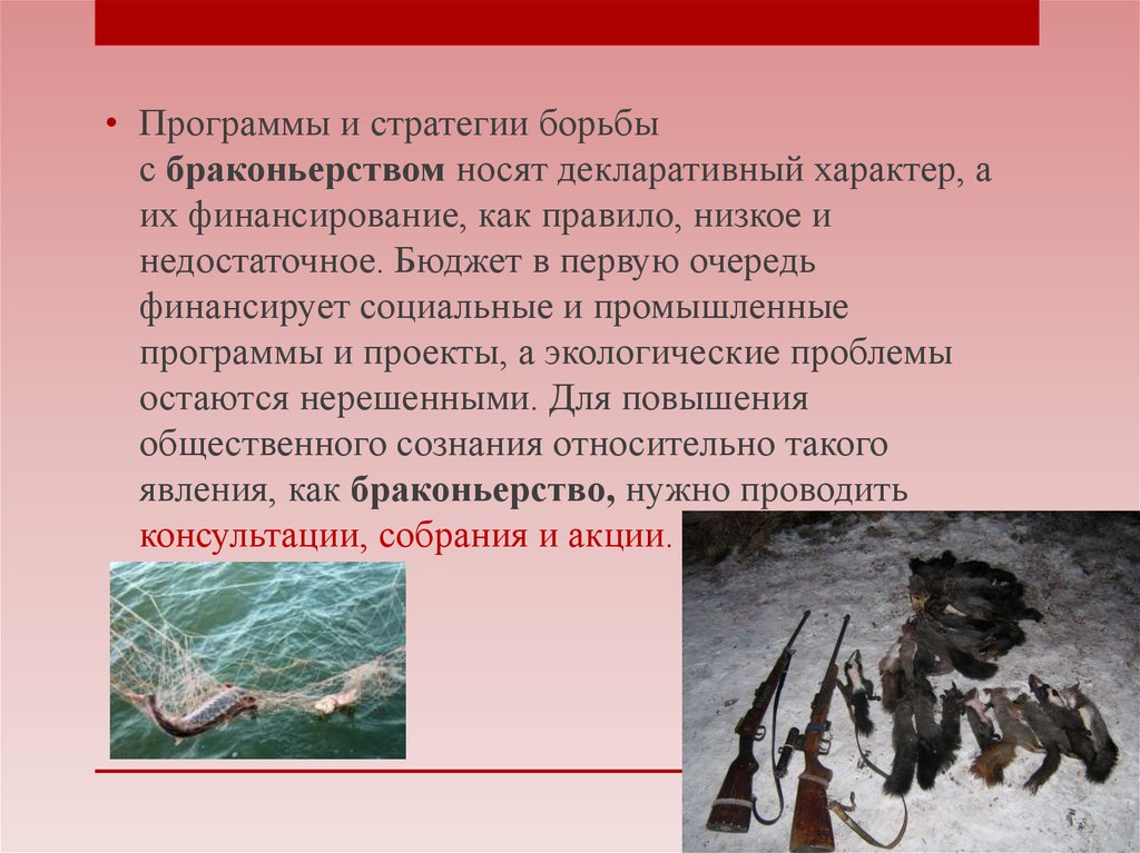 Какой вред приносят браконьеры в казахстане