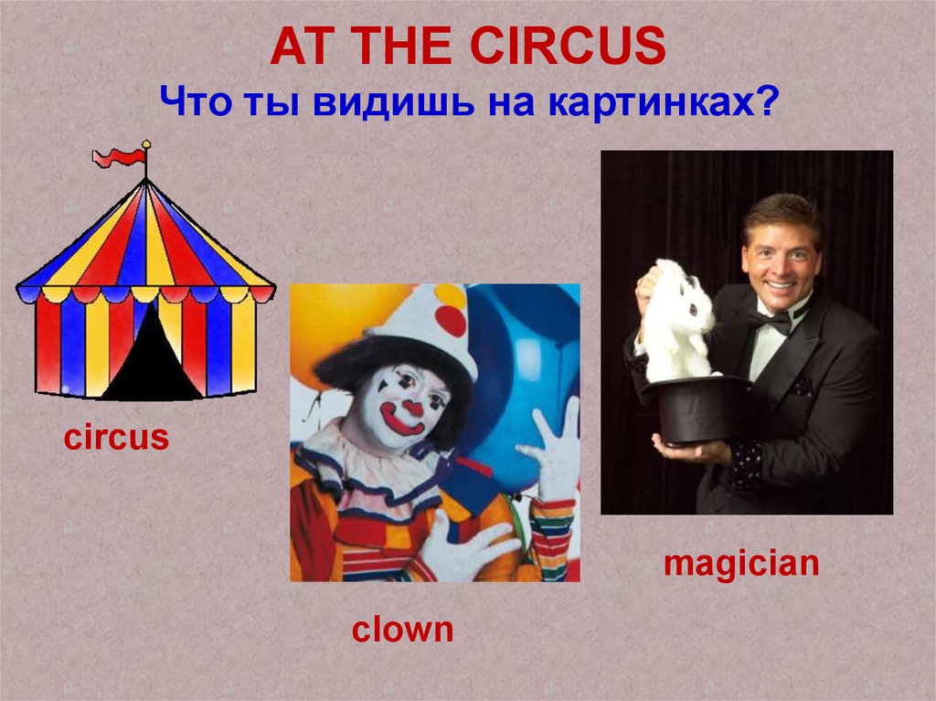 Circus перевод. Цирк по английскому языку. Тема по английскому языку в цирке. Урок цирк на английском языке. Цирк английский 2 класс.