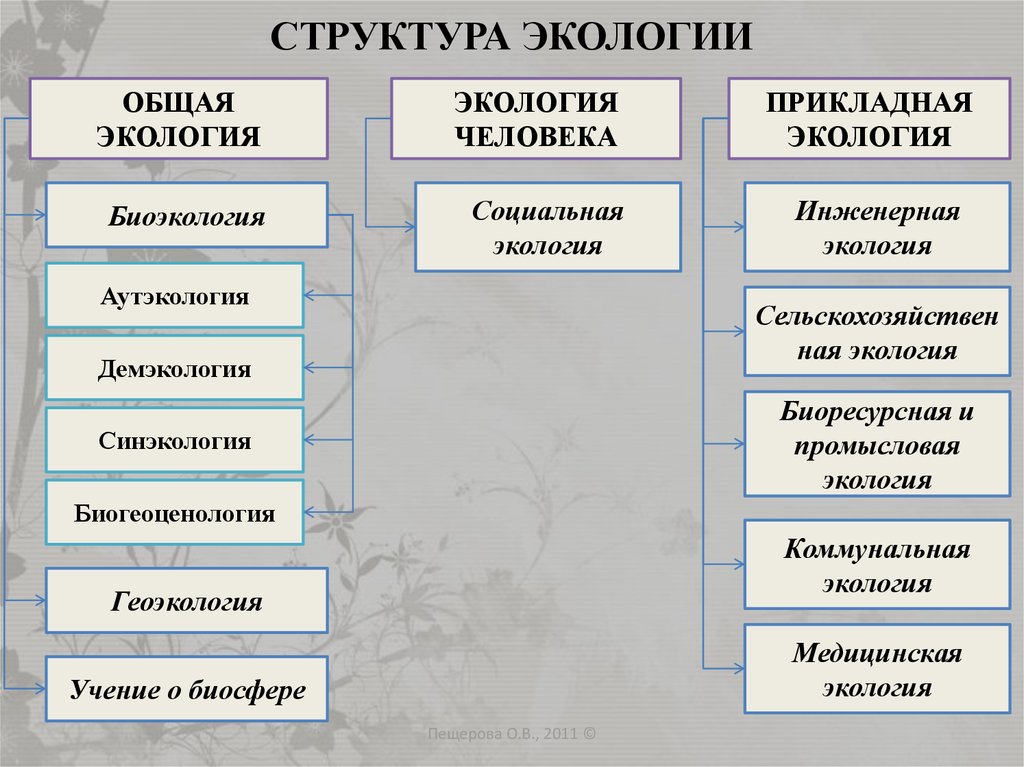 Разделом экологии является. Структура экологии. Структура общей экологии. Структура современной экологии. Структура экологии схема.