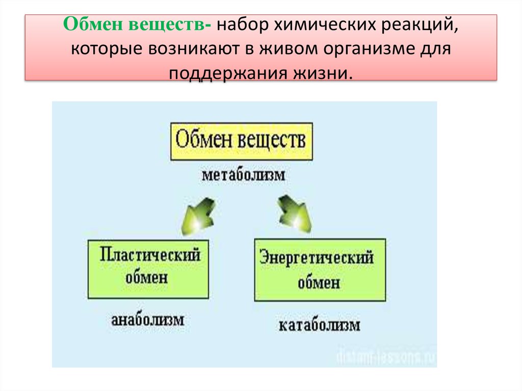 Набор веществ. Обмен веществ химические реакции. Метаболизм это набор химических реакций. Химические реакции обмена веществ в организме. Обменные процессы происходящие у живых организмов.