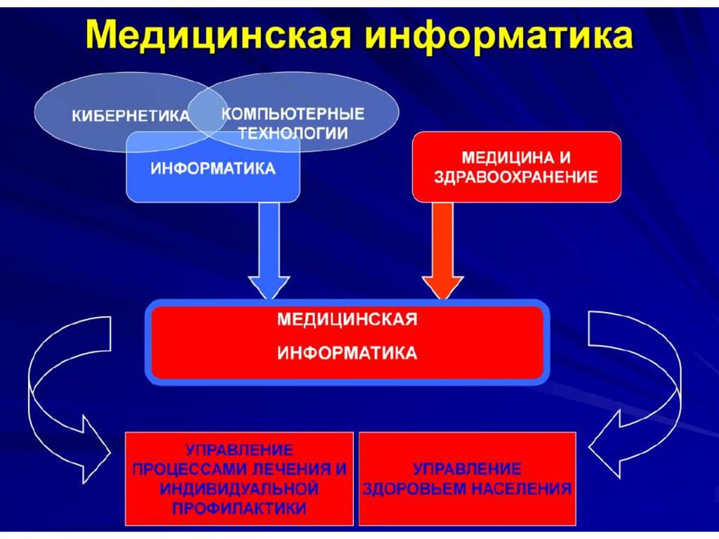 Медицинская кибернетика учебный план