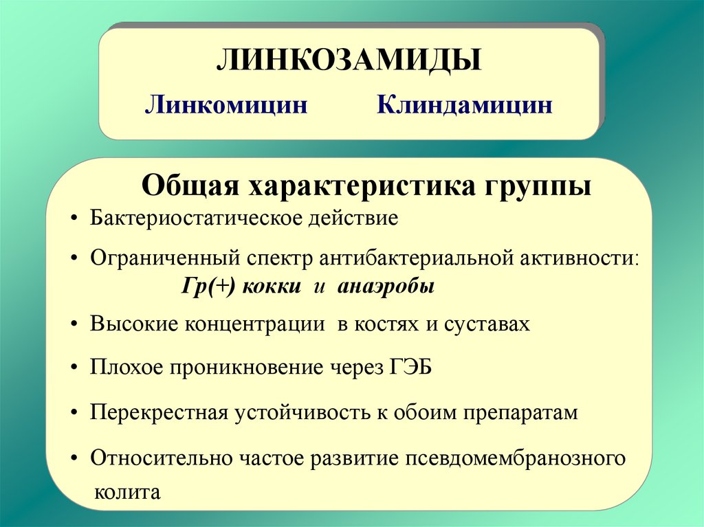 Линкозамиды презентация фармакология