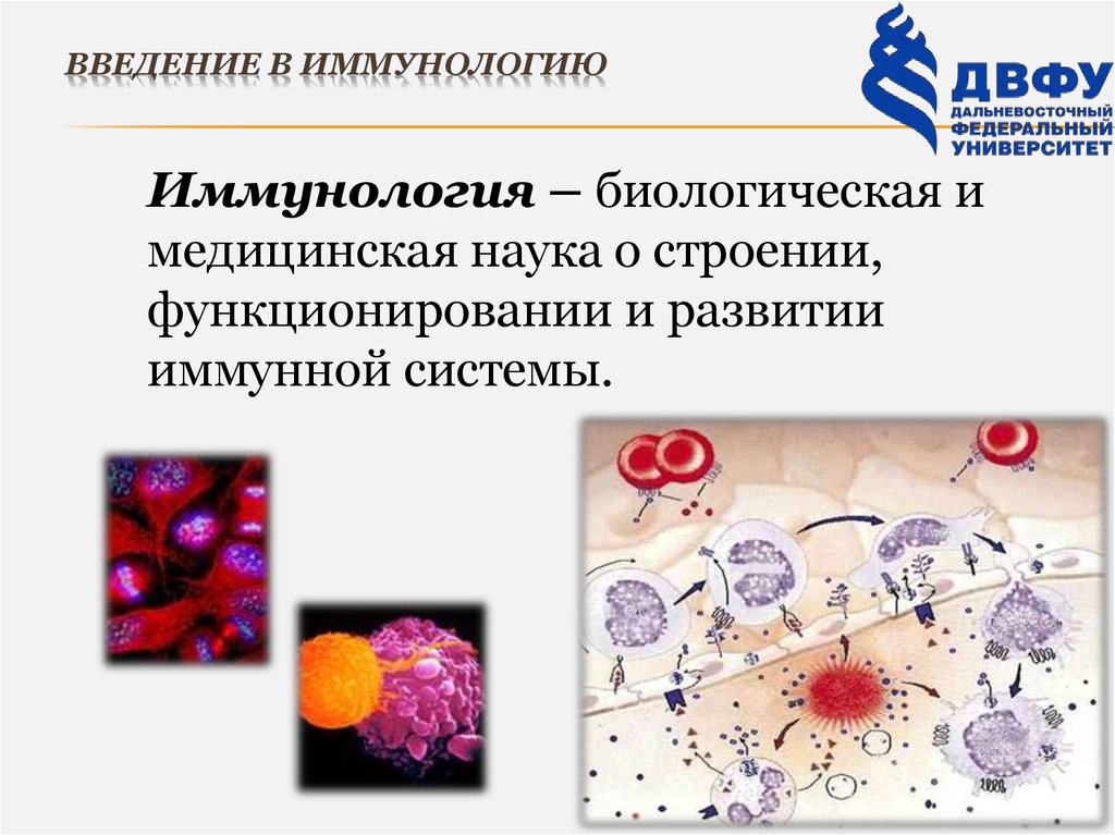 Иммунология репродукции