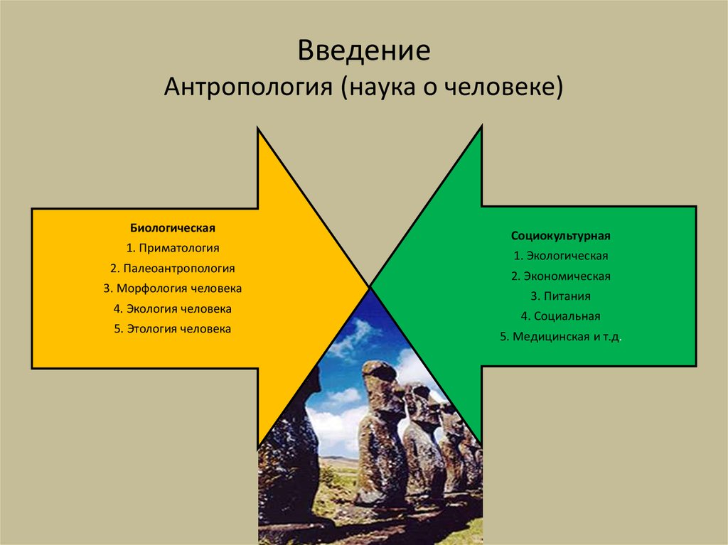 Антропология это наука. Антропология наука о человеке. Научная антропология. Что изучает антропология как наука. Экономическая антропология.