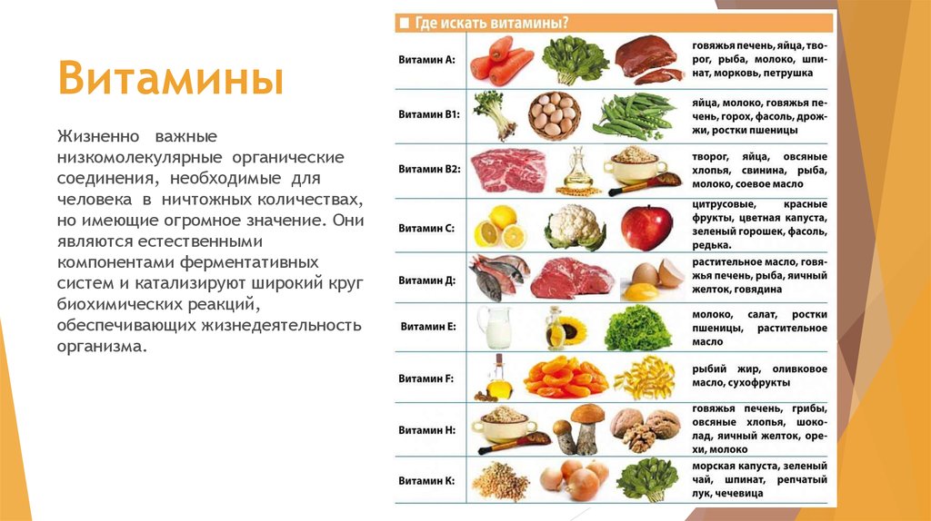 Витамины в моркови печени. Витамины в организме человека. Самые важные витамины для человека. Витамины необходимые для организма. Витамины нужные для организма.